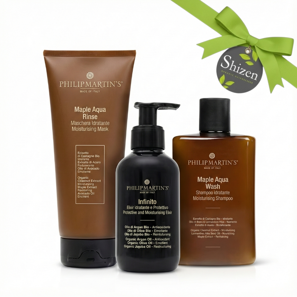 kit anti frizz premium